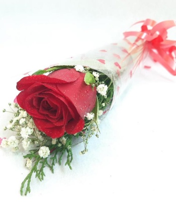 Single Red Rose in Box - Imported