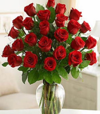 24 Red Roses