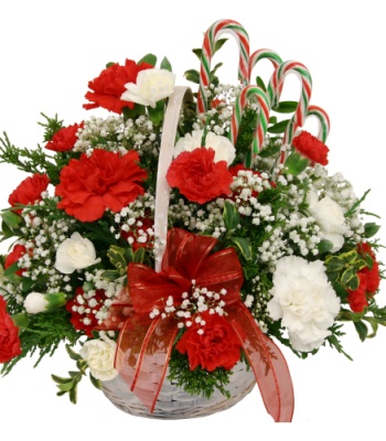 Christmas Flower Basket