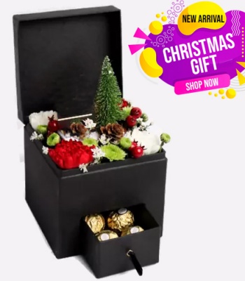 Christmas gift box