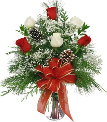 Christmas red and white roses