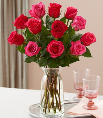 Red And Pink Roses