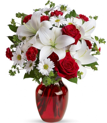 Red and White Roses - 12 stems