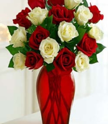 Red And White Roses