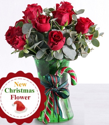 Red Roses in Vase