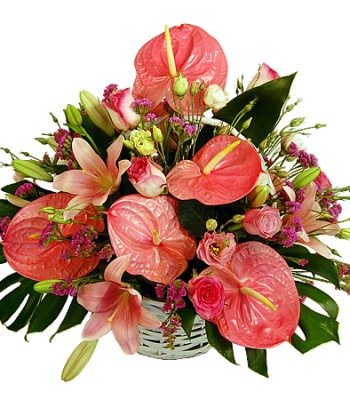 Anthurium Flower Basket