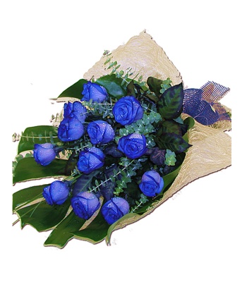 Blue Roses