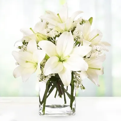 White Lily Arrangement In Vase