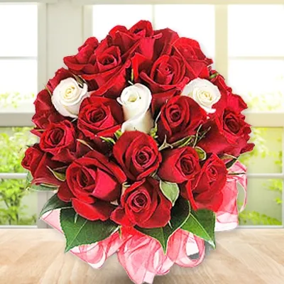 Red And White Roses