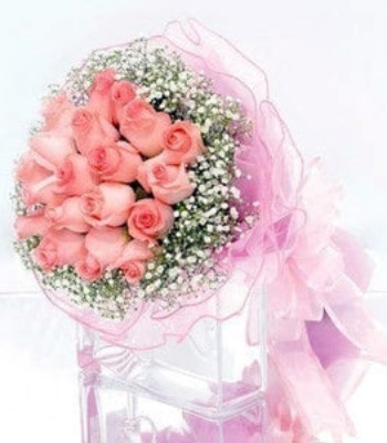 20 Pink Roses