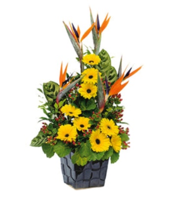 Bird Of Paradise and Gerbera Flowers