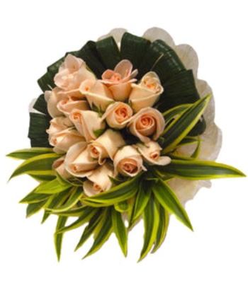 Champagne Roses - 18 Stems