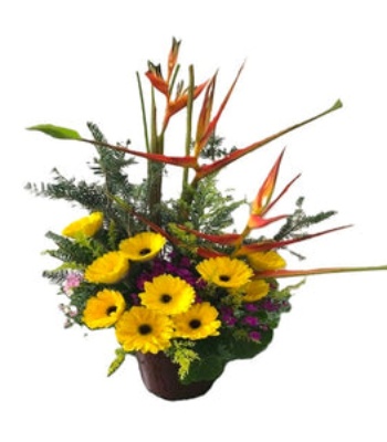 Gerberas and Heliconia Flower Arrangement