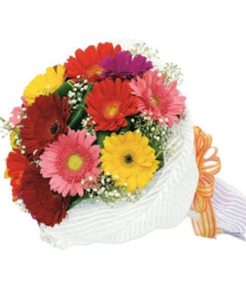 Mixed Gerberas Flower Bouquet - 12 Stems