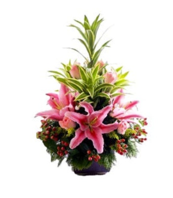 Pink Lilies and Roses in Vase