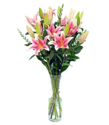 Pink Lilies in Vase