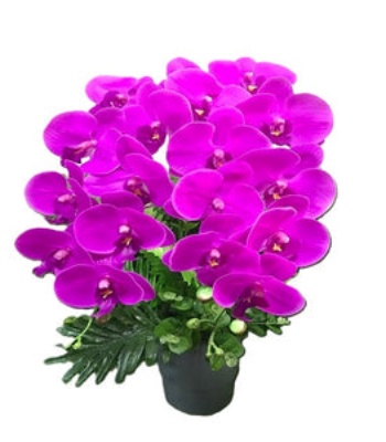 Pink Phalaenopsis in Pot - Artificial