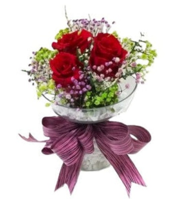 Preserved Red Roses in Vase