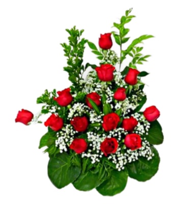 Red Roses - 15 Stems