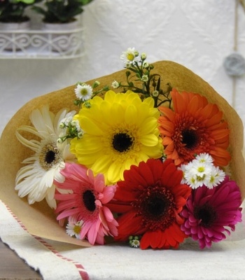 6 Mix Gerberas And Daisy Flower