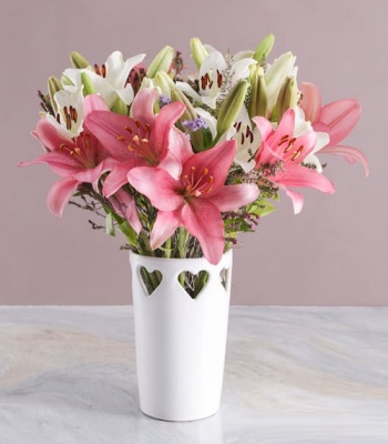 Asiflorum Lilies