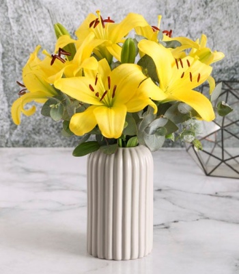 Asiflorum Lily Pot