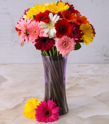 Assorted Gerberas In Purple Vase