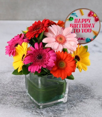 Birthday Gerbera Arrangement