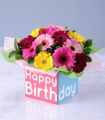 Birthday Gerbera Flowers In Box