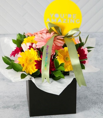 Birthday Gerberas in Box