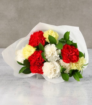 Carnations Flowers in White Paper