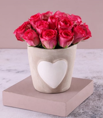 Cerise Roses in Ceramic Pot