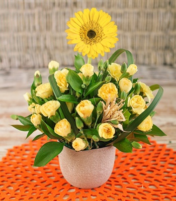 Gerbera And Carnations In Vase