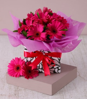 Gerbera Daisies In A Geometric Box