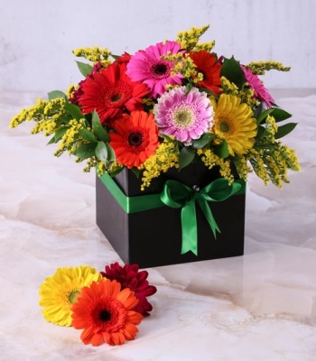 Gerbera Flowers In Box