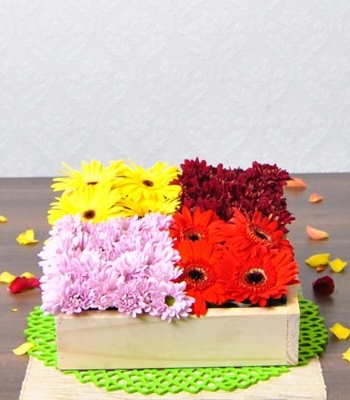 Gerberas And Chrysanthemums Box