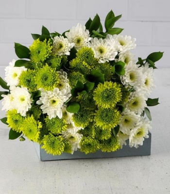 Green and White Flowers