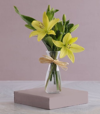 Lily Flowers In Jug