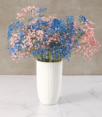 Million Star Flowers in Vase - Blue and Red