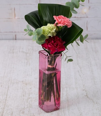 Mix Carnations In Straight Vase