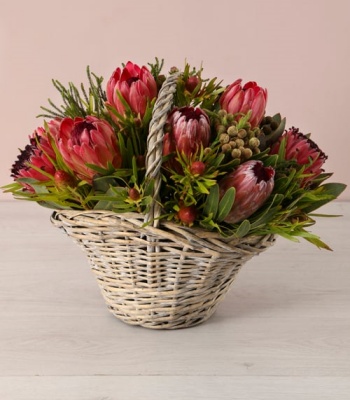 Mix Proteas In Basket