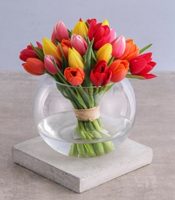 Mix Tulips In Vase