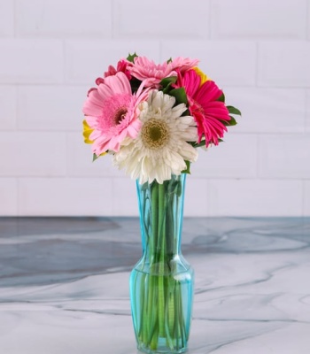 Mixed Gerbera Arrangement