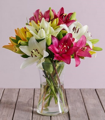 Mixed Lilies In Vase