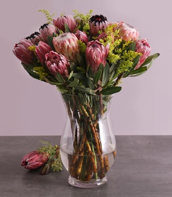 Mixed Proteas In Vase