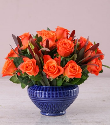 Orange Roses - 19 Stems