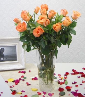 Orange Roses In Vase