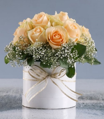 Peach Color Roses In Box