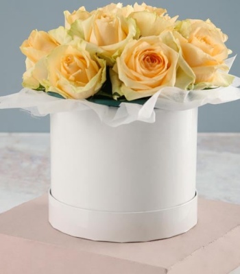 Peach Roses In Box