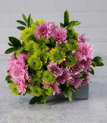 Pink and Green Flowers in Bag